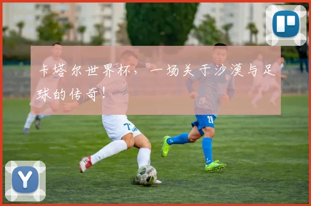 卡塔尔世界杯，一场关于沙漠与足球的传奇！