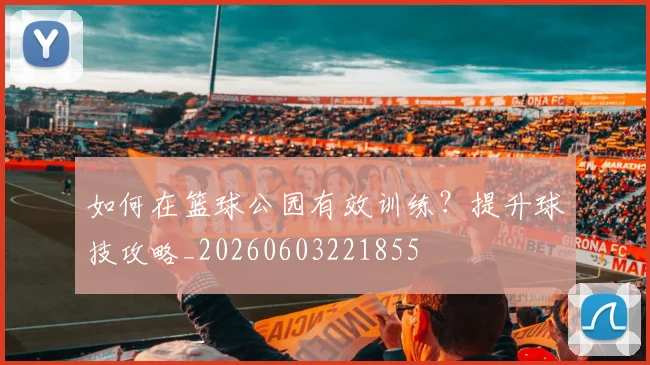 如何在篮球公园有效训练?提升球技攻略_20260603221855