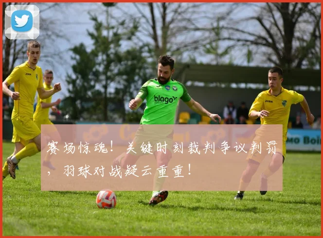 赛场惊魂！关键时刻裁判争议判罚，羽球对战疑云重重！